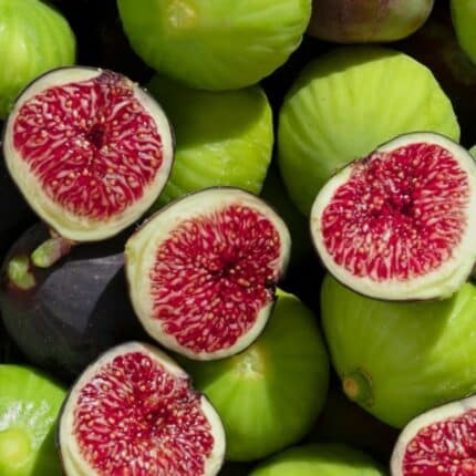 figues de Syros